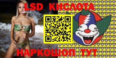 гидра Будённовск