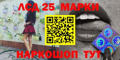 гидра Будённовск
