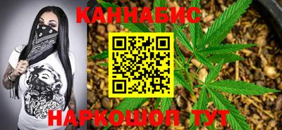 гидра Будённовск